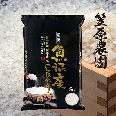 ふるさと納税 十日町市 令和7年産 魚沼産コシヒカリ5kg