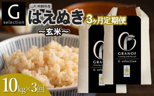 【令和7年産】【新米】【定期便3ヶ月】 Gセレクション はえぬき「玄米」 10kg (5kg×2袋)×3ヶ月 山形県鶴岡市産　株式会社グラノフ