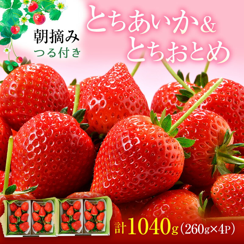 【ふるさと納税】【選べる発送時期】あいか×おとめハーフ＆ハーフ 4パック いちご 果物 フルーツ 苺 イチゴ くだもの とちあいか とちおとめ 朝取り 新鮮 美味しい 甘い