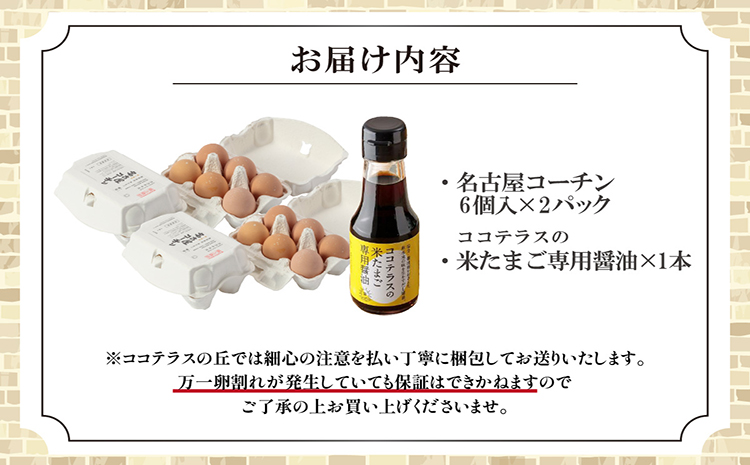 【高級】名古屋コーチンセット
