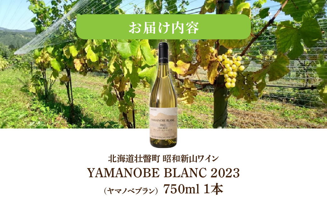 昭和新山ワイン　YAMANOBE BLANC 2023(ヤマノベブラン）白ワイン 辛口 壮瞥町産ぶどう100%  SBTQ012