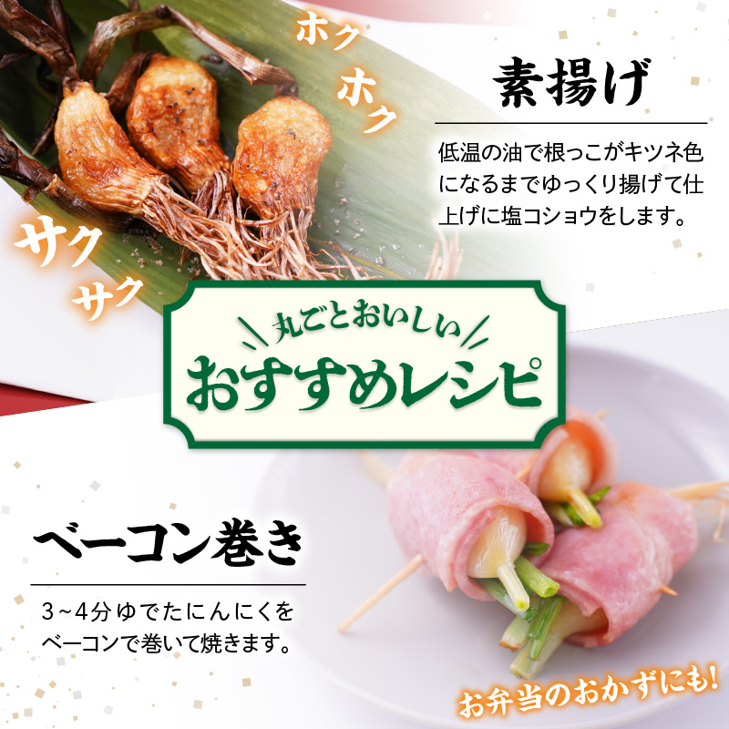 つのにんにく 10本 × 7袋 計70本 発芽にんにく 水耕 栽培 スプラウト にんにく ニンニク 山形県 米沢市