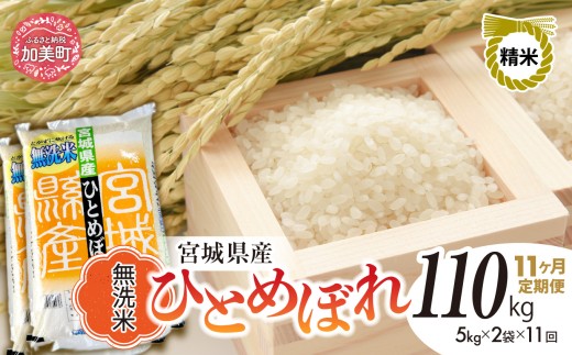 【11回 定期便】【新米予約】無洗米 令和8年産 宮城 ひとめぼれ 計110kg（10kg×11回）｜ 菅原精米工業 宮城県 加美町 sw-hb10-mu-t11-r8 ｜ ヒトメボレ 米 コメ ごはん お米