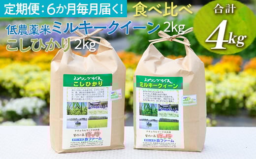 
                  【定期便】6か月毎月届く！低農薬米ミルキークイーン2kg＋こしひかり2kg 食べ比べ 合計4kg | 米 こめ コメ 4キロ 定期便 低農薬米 食べ比べ 食べくらべ こしひかり コシヒカリ ミルキークイーン みるきーくいーん 古河市産 茨城県産 贈答 贈り物 プレゼント 茨城県 古河市 直送 農家直送 産地直送 送料無料 _BI94
                