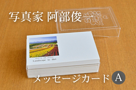 写真家　阿部俊一　名刺台紙・メッセージカード100枚(A)[005-05]