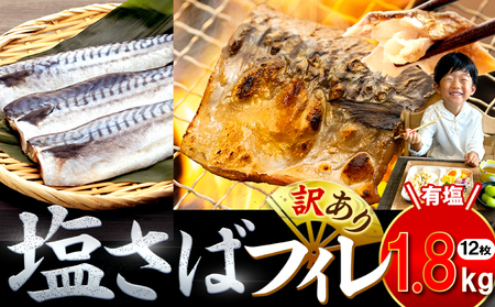 訳あり 塩 サバ 約1.8kg 12枚 冷凍 鯖 塩 サバ 魚 さかな 海鮮 海産物 おかず 鯖ご飯 おすすめ 人気 鯖 魚 魚介 海鮮