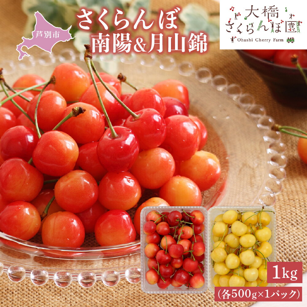 【ふるさと納税】【 先行受付 】さくらんぼ 南陽 月山錦 1kg 各500g×1パック 大橋さくらんぼ園 サクランボ チェリー 果物 果物類 フルーツ デザート 最高級 黄色 大粒 甘い さわやかな酸味 北海道 芦別市 　お届け：2026年7月下旬頃～