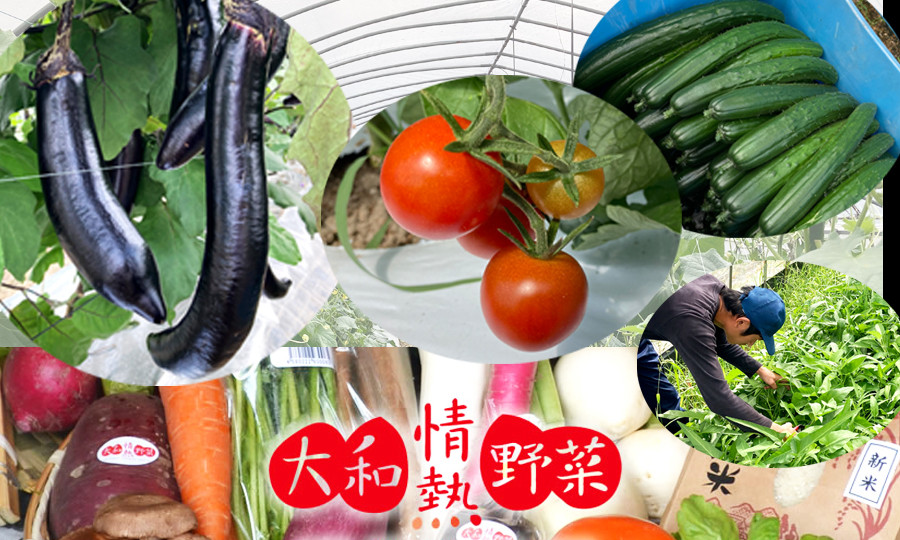 
大和情熱野菜の玉手箱 / 季節の野菜 旬の野菜 野菜セット
