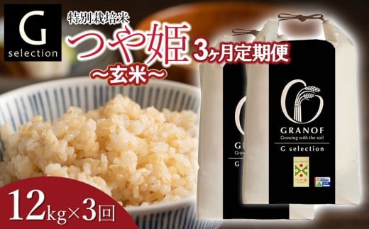 【令和7年産】【新米】【定期便3ヶ月】 特別栽培米 Gセレクション つや姫【玄米】 12kg (6kg×2袋)×3ヶ月 山形県鶴岡市産　株式会社グラノフ