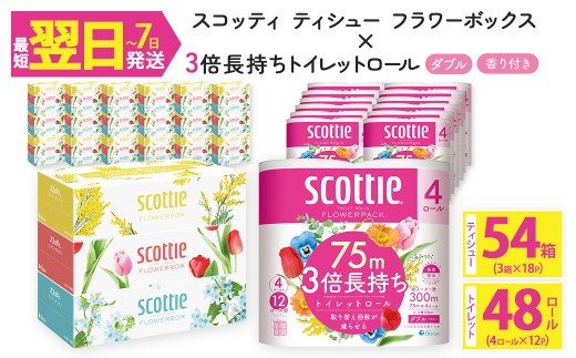 ＜ボックスティッシュ＆トイレットロールセット＞スコッティ ティシュー フラワーボックス 250組 54箱＆スコッティ フラワーパック 3倍長持ち 48ロール (ティッシュ：3箱×18パック・トイレットロール：4ロール×12パック)【fc-AS004-B】【日本製紙クレシア株式会社】