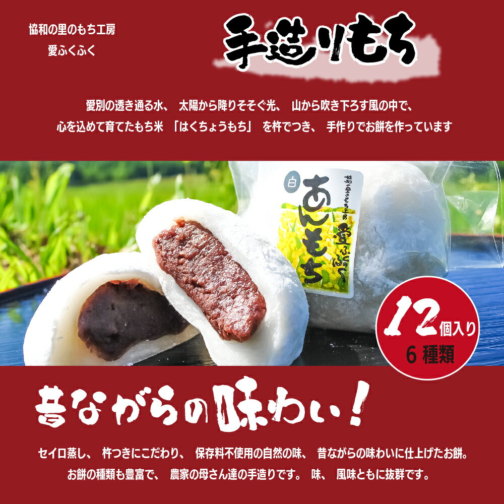 【ふるさと納税】 手造り あんもち 愛ふくふく「あんもち（6種類12個入り）セット」 あんころもち 【E13203】