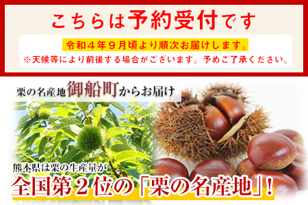 生栗 産限定 約2kg(2L-Lサイズ) 期間限定 野菜 予約 スイーツ きんとん 甘露煮 渋皮煮《9月上旬-9月末頃より出荷予定》---mf_cnmgr_ac9_23_12000_2kg---