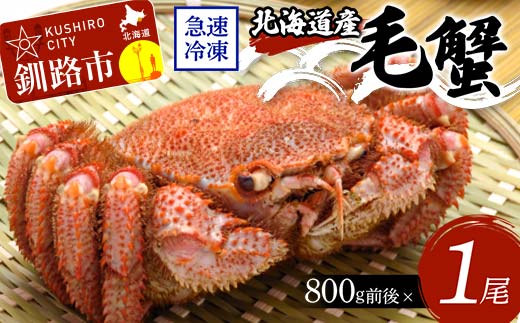 北海道産毛蟹800g前後×1尾 北海道 カニ 毛ガニ 毛蟹 かに かに味噌 急速冷凍 活蟹 活毛蟹 活毛ガニ F4F-8656
