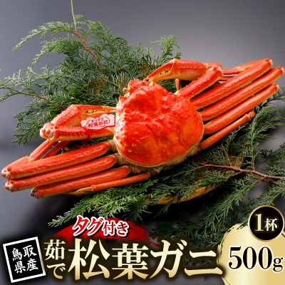 
                  ＜先行予約＞鳥取県産 タグ付き 茹 松葉がに 500g×1杯(中村商店)2027年1月末より順次発送【1692929】
                