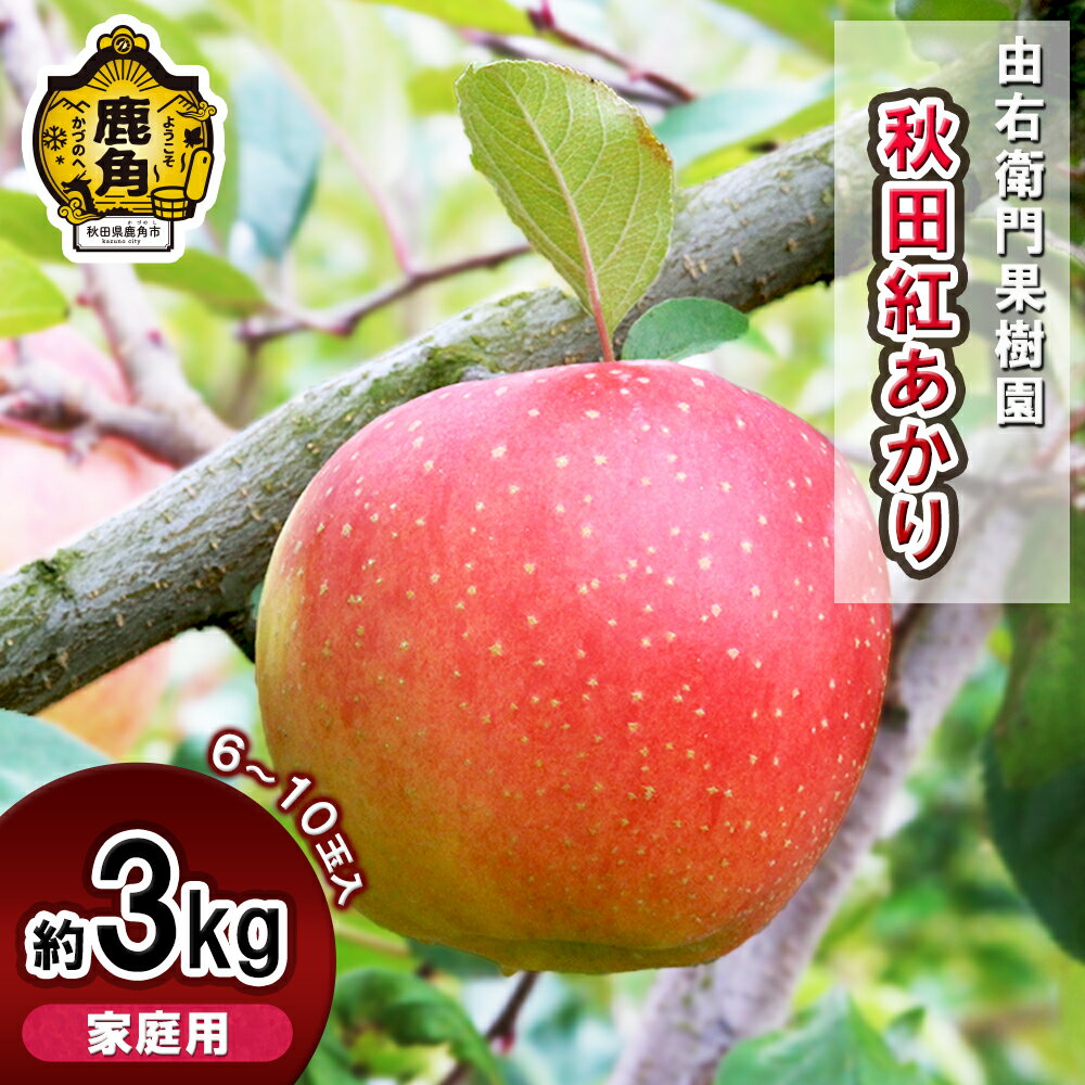 【ふるさと納税】《 先行予約 》由右衛門果樹園 りんご 家庭用 「 秋田紅あかり 」 約3kg（6～10玉） 国産 食感 果汁 完熟 お中元 お歳暮 贈り物 お見舞い グルメ ギフト 故郷 秋田 あきた 鹿角市 鹿角 りんご 訳あり 送料無料 【由右衛門果樹園】●2025年11月上旬発送開始