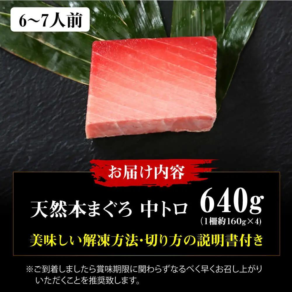 たね熟天然本まぐろ中トロ(640g)[AOCE010]まぐろ