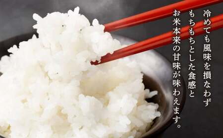 【令和6年産】くまもとのブランド米 くまさんの輝き 10kg【14営業日発送】