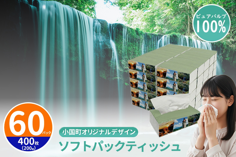 【令和8年4月～出荷】ティッシュペーパー ピュアパルプ ソフトパックティッシュ 60パック×400枚 200組 柔らか コンパクト 日用品 必需品 まとめ買い 常備品 備蓄 防災グッズ 熊本県 小国町 観光スポット紹介 オリジナル 常温配送