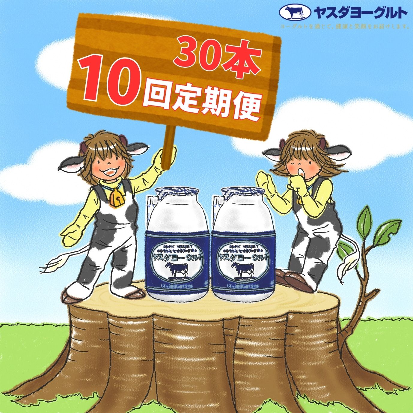 【ふるさと納税】≪10回定期便 ≫ヤスダヨーグルト 150g×30本 飲むヨーグルト ヨーグルト こだわり生乳 濃厚