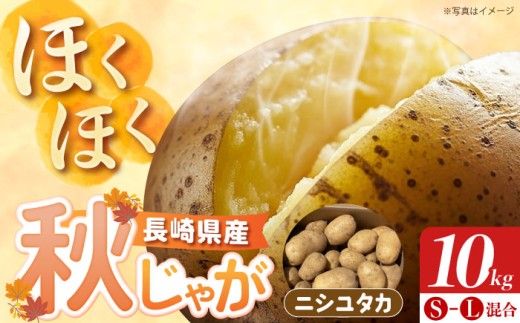 長崎県産 秋作じゃがいも ニシユタカ 10kg【先行予約/2027年1月〜2月発送】 長崎県/オースタイルファーム株式会社 [42ALAD006] じゃがいも ポテト 長崎 雲仙 うんぜん 料理 煮込み カレー シチュー おでん じゃがちゃん 馬鈴薯 ばれいしょ ジャガイモ 野菜 ニシユタカ 秋 旬
