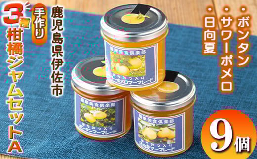 
            isa556 3種の柑橘ジャム食べ比べセットA(計9個・ボンタン、サワーポメロ、日向夏 各140g) 加工食品 果物 フルーツ 詰め合わせ 果肉 柑橘 低糖 ハンドメイド ジャム ギフト マーマレード【薩摩美食倶楽部】
          