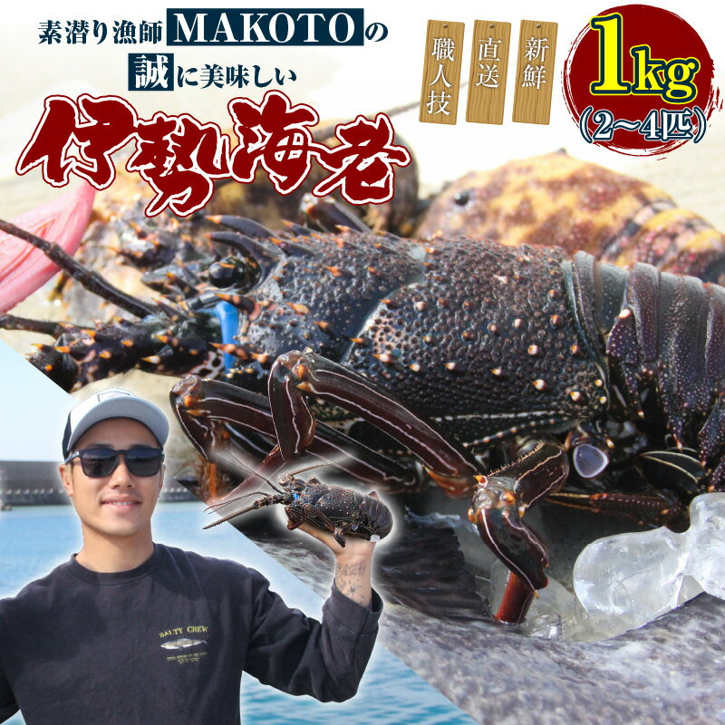 【ふるさと納税】 素潜り漁師MAKOTO の誠に美味しい 伊勢海老 1kg 2～4匹 イセエビ 伊勢エビ 海老 エビ 魚介類 刺身 塩焼き お味噌汁 美味しい 贅沢 冷凍 直送 新鮮 職人技 ぷりぷり 素潜り 漁師 ふるさと納税 鹿児島 知名町 おすすめ ランキング プレゼント ギフト