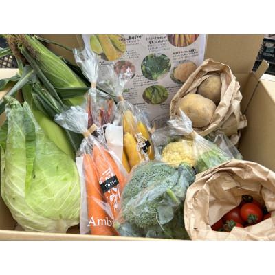 ふるさと納税 江別市 北海道江別産　季節の彩り野菜セット　M|Ambitious Farm |  | 01