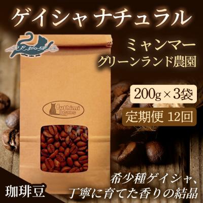 ふるさと納税 福島市 【12回定期便】珈琲豆 ゲイシャナチュラル ミャンマー200g×3袋No.3276
