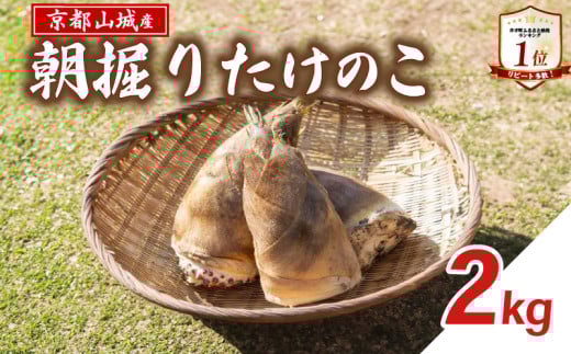 【先行予約】京都山城産 朝掘りたけのこ 2kg <2026年4月発送> 白子筍 朝掘り 新鮮 京都 筍 竹の子 たけのこ 京たけのこ 国産 京都山城 産 京野菜 野菜 国産 炊き込みご飯 煮物 旬 春 井手町 【237】