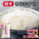 【ふるさと納税】 【 先行予約 】 新米 きぬむすめ 5kg 10kg 20kg 精米 選べる 容量 定期便 米 お届け回数 お米 選べる定期便 1回お届け 月1お届け 白米 直前精米 精米したて やまだ農園 豊田町 下関 山口 【 10月以降発送 】