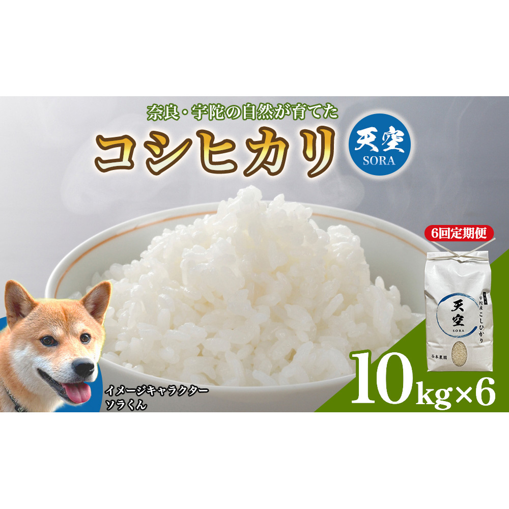 宇陀の自然が育てた 天空【sora】コシヒカリ 定期便 10kg×6回｜奈良県宇陀産 白米