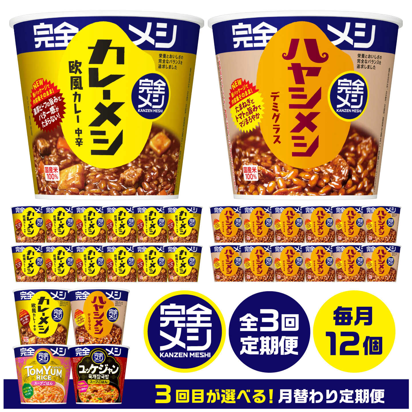 【ふるさと納税】【3回定期便】完全メシバリエーション定期便（欧風カレー・ハヤシメシ デミグラス）/ 日清食品 カップ飯 カレーライス ハヤシライス 常温 保存 非常食 保存食 備蓄 仕送り アソート まとめ買い 3ヶ月 定期便 / 栗東市 / 日清食品株式会社[BIBI042]