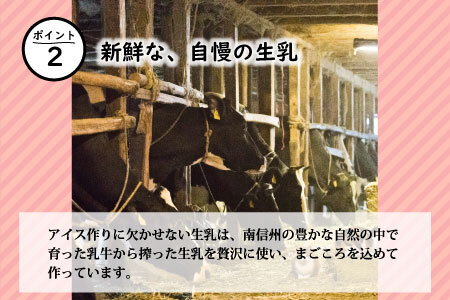 長野県産ふじりんごを丸ごと使用！ 信州りんごアイス 8個セット