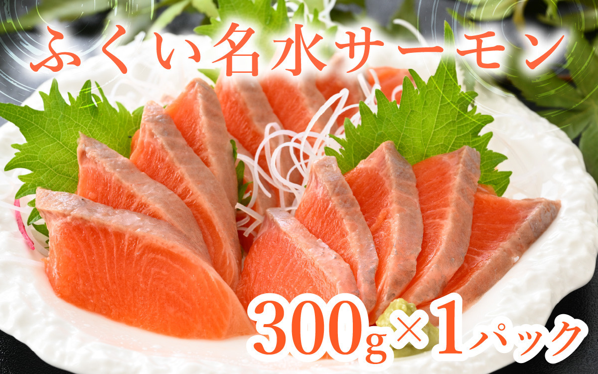 
                  【希少】福井県大野市産 ふくい名水サーモン 300g（刺身用）真空冷凍（皮なし・骨取り）[A-014008]
                
