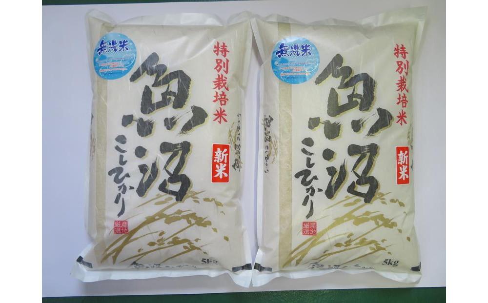 令和7年産先行予約　【定期便３か月コース】無洗米　魚沼産コシヒカリ特別栽培米　5kg×2