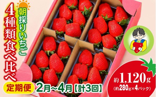 いちご 4種類食べ比べ 約280g×4パック 1120g  計3回 定期便2月～4月 2027年 先行予約 | イチゴ 苺 高品質 たっぷり 新鮮 完熟 旬 ストロベリー 高級 産地直送 果汁 甘い あまい 人気 高評価 高糖度 ごほうび プレゼント 朝採れ やよいひめ ななか 恋みのり あまおとめ あすかルビー 贈答用 あすかファーム 群馬県 前橋市