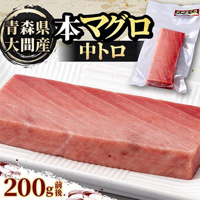 ふるさと納税 青森県 大間産本マグロ 中トロ 200g前後(約2人前)