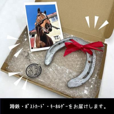 ふるさと納税 江別市 【酪農学園大学】馬術部の蹄鉄(ポストカード・キーホルダー付き) |  | 01