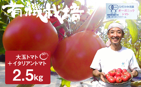 《期間・数量限定》有機大玉トマト 調理用イタリアントマト 有機JAS認定 合計2.5kg[Q633] syun9