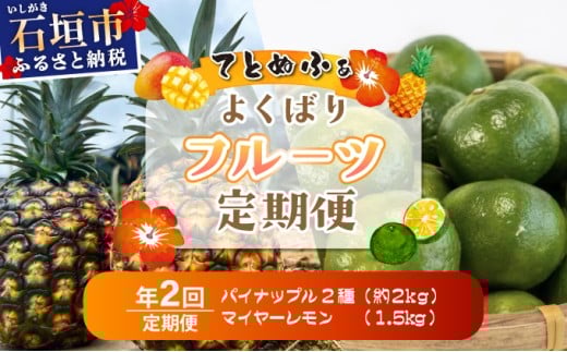 《年２回発送》島のおいしいを贅沢に！パイナップル2種食べ比べと青切りマイヤーレモンのよくばり定期便！
