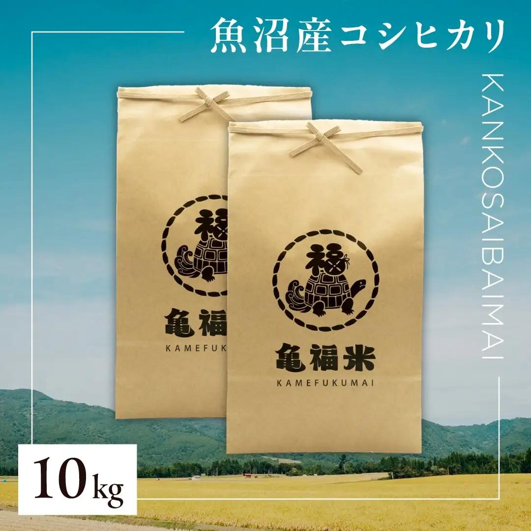 魚沼産コシヒカリ 亀福 慣行栽培 10kg(5キロ×2袋) | 津南町 魚沼 令和7年