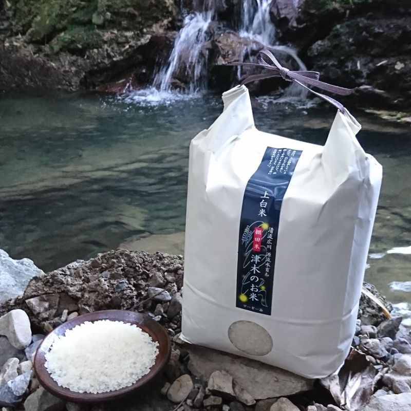 【ふるさと納税】 こしひかり 25年度新米 津木のお米 / 白米 米 精米 お米 ご飯 朝食 昼食 夕食 //vegi