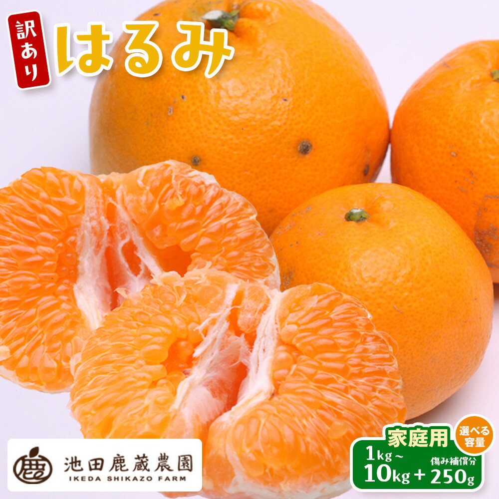 【ふるさと納税】［先行予約］［選べる内容量（1kg～10kg）］家庭用はるみ［デコポンの姉妹品種・新食感春みかん］［光センサー選別］ 訳あり わけあり | 柑橘類 新食感 人気 おすすめ 柑橘 フルーツ 果物 和歌山産 お取り寄せ 送料無料 ふるさと納税