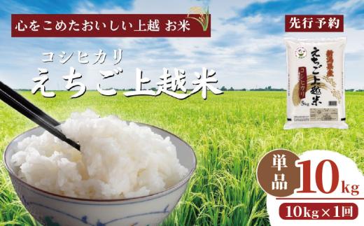 【先行予約】令和7年 新米 新潟県産コシヒカリ えちご上越米 10kg 新潟 米 新潟県 こしひかり 限定 おすすめ