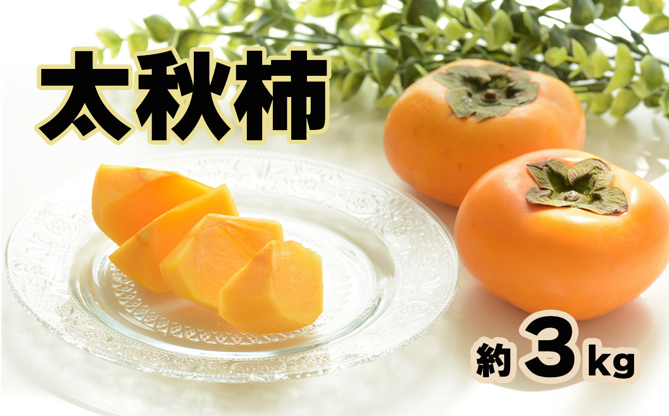 
太秋柿 約3kg （8～10玉) 玉名市産
