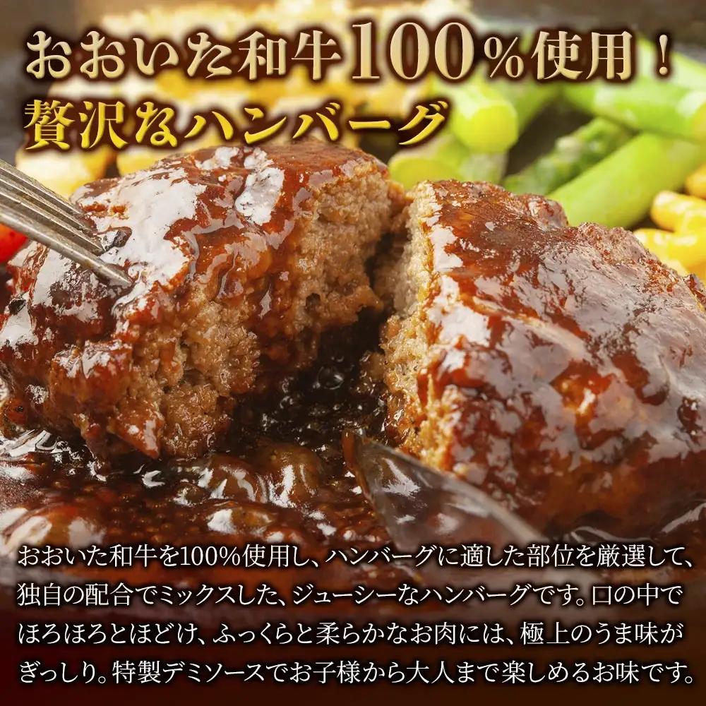おおいた 和牛 100% デミ ハンバーグ 約150g×10個 合計約1.5kg | ハンバーグ 津久見市