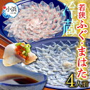 【ふるさと納税】【着日指定】 【冷蔵でお届け】 「若狭ふぐのてっさ」と「若狭まはたのお刺身」セット 4人前 / 養殖 養殖魚 産地直送 ブランド ふぐ皮 ひれ まはた マハタ 体験 海鮮 魚介 魚 ふぐ とらふぐ 若狭ふぐ 刺身 てっさ 冷蔵 お取り寄せ 旬 送料無料 [F-005006]