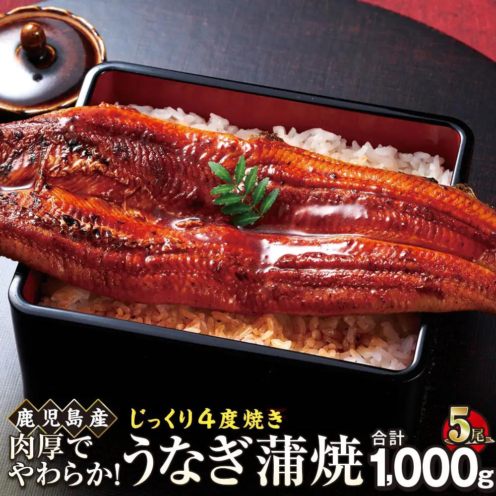 うなぎ 蒲焼 200g×5尾【鹿児島産】地下水で育てた絶品鰻