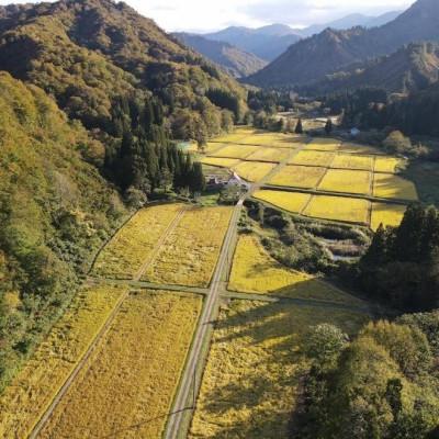 ふるさと納税 小国町 令和8年産米先行予約　山形県小国町産　雪若丸　精米5kg　東部開発 |  | 01