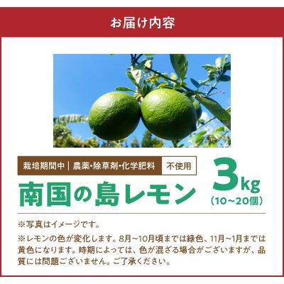 ふるさと納税 和泊町 栽培期間中　農薬・除草剤・化学肥料不使用!南国の島レモン3キロ |  | 03